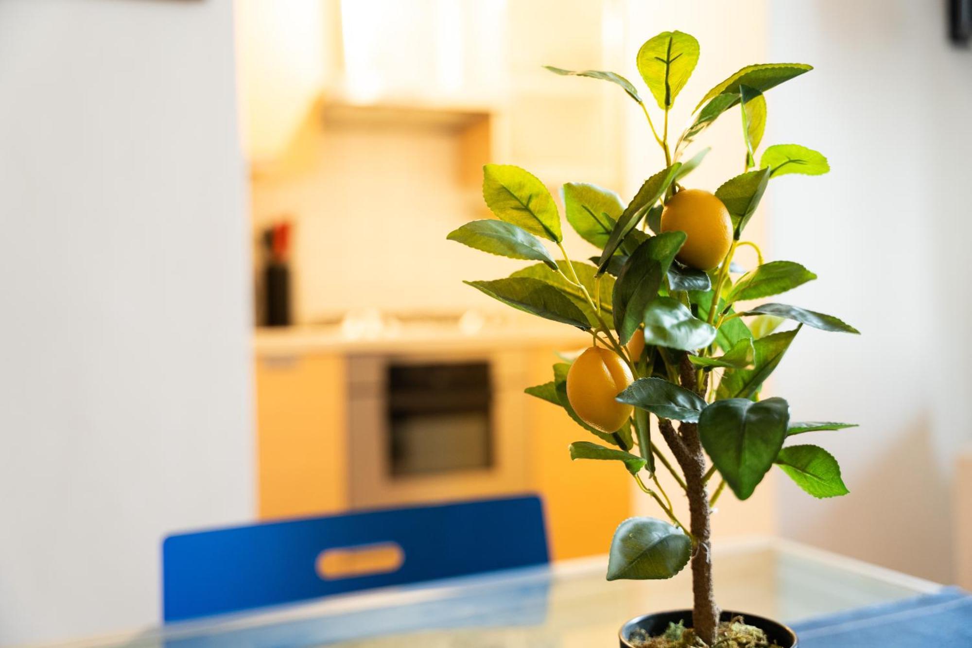 Nice Quiet Flat In Pta Venezia Milan Bagian luar foto